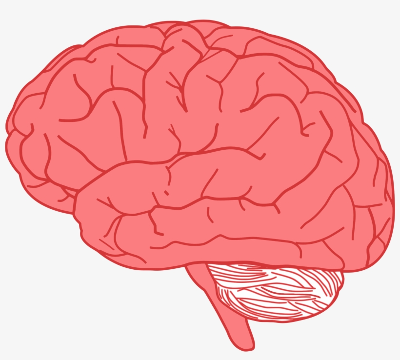 This Free Icons Png Design Of Brain Profile Optimized, transparent png download