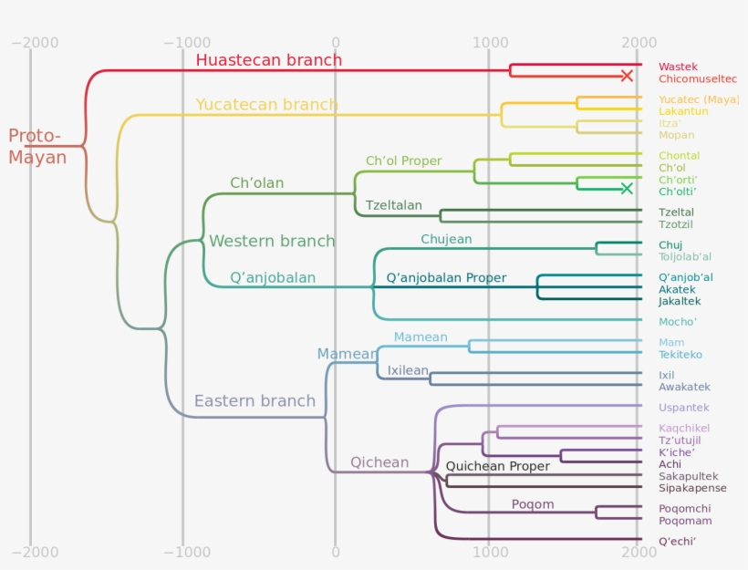Subdivisions - Mayan Language Tree, transparent png download