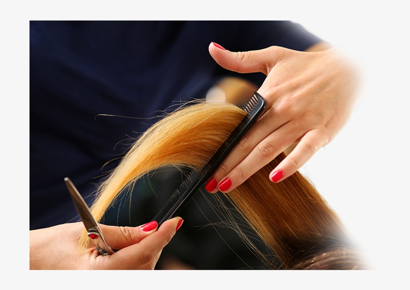 Finding The Perfect Hairstylist Is Like Searching For - Hairdresser, transparent png download