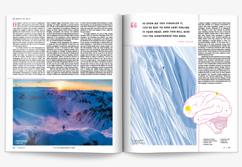 Nobrain-2 - Brochure, transparent png download