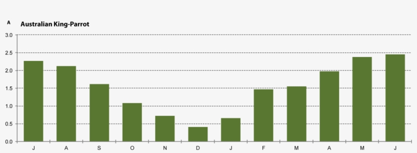 Injured - Black-and-white, transparent png download