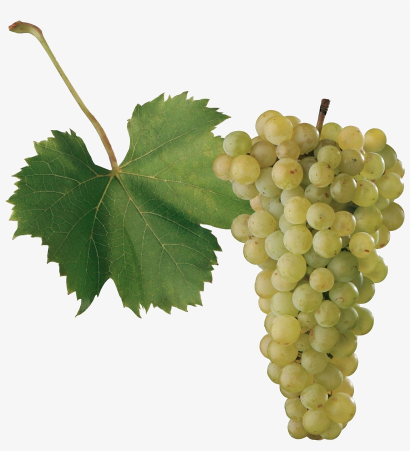 Grape Png Images - Sultana, transparent png download