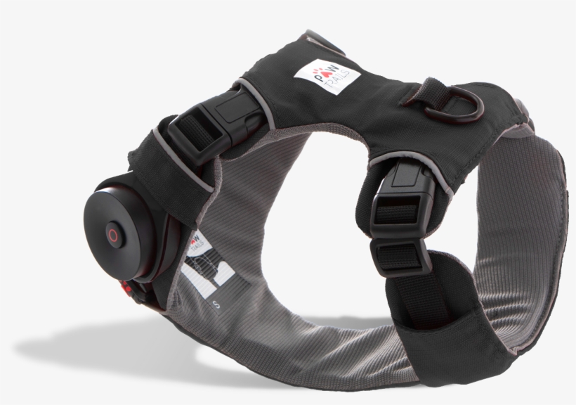 Gps Dog Harness, Harness Tracker, Black Gps Harness,, transparent png download