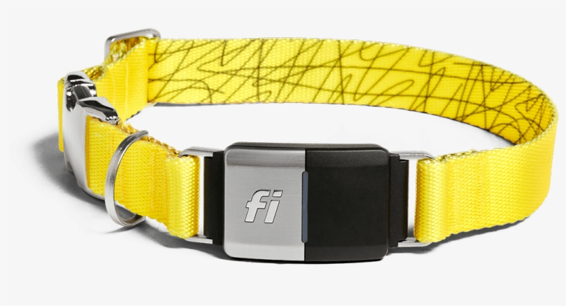 Image Of The Collar In A Yellow Band - Belt, transparent png download