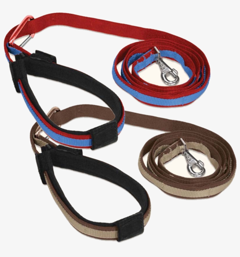 Kurgo Leash Colors - Belt, transparent png download