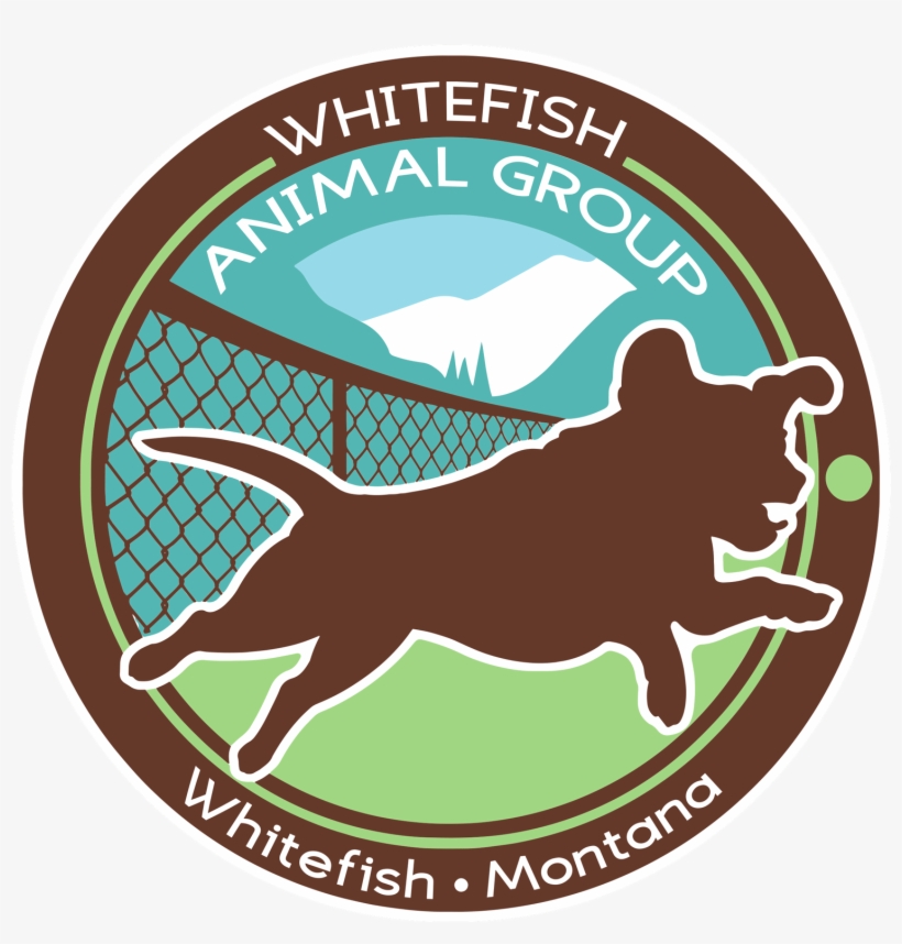 Wag Whitefish Animal Group - Dog Catches Something, transparent png download