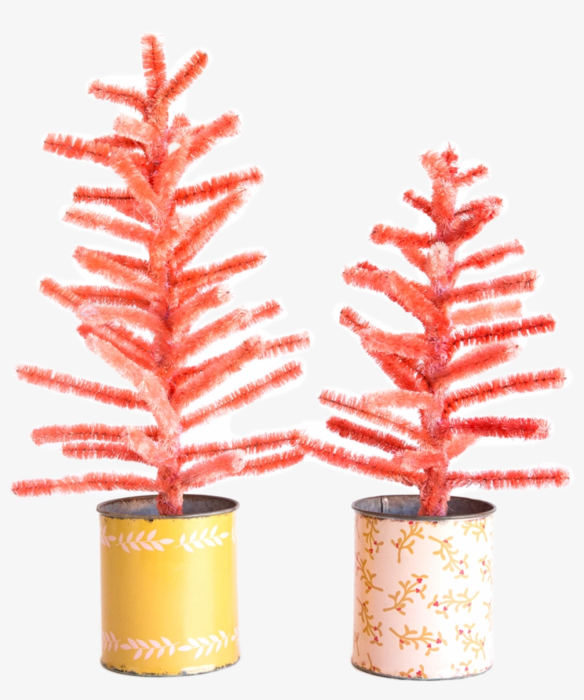 Yellow Leaf Tin Pot - Houseplant, transparent png download