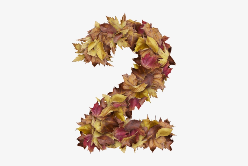 2 Number With Dry Leaves - Sweet Gum, transparent png download