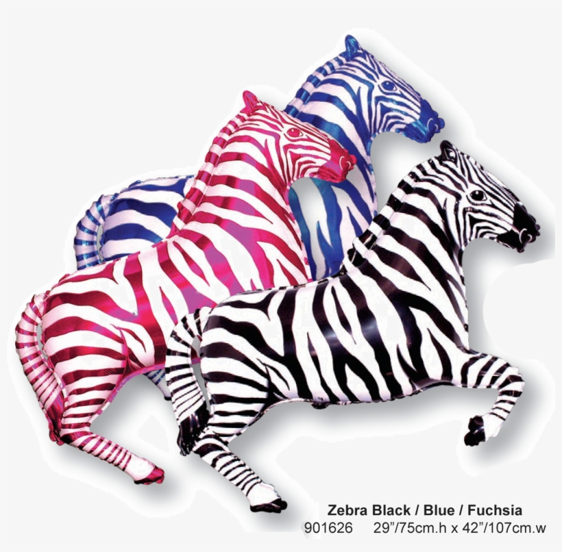 Zebra, transparent png download