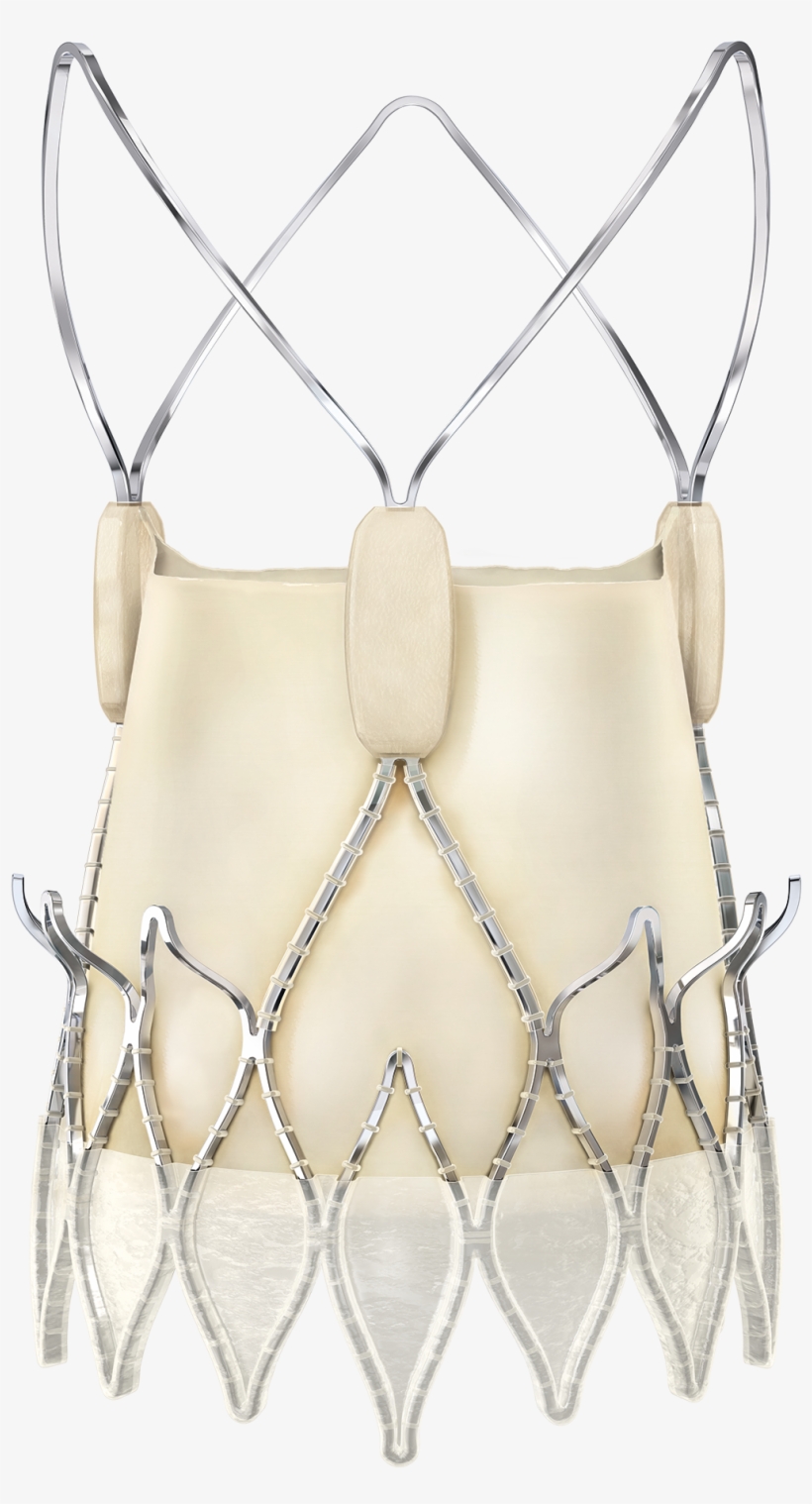 Acurate Neo - Silver, transparent png download