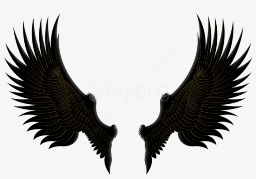Free Png Download Black Gold Wings Clipart Png Photo - Black And Gold Wings, transparent png download
