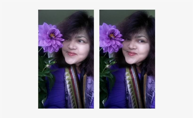 Artificial Flower, transparent png download