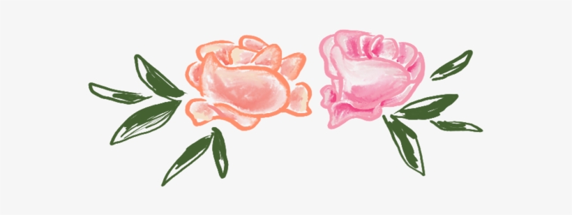 Flowers - Garden Roses, transparent png download
