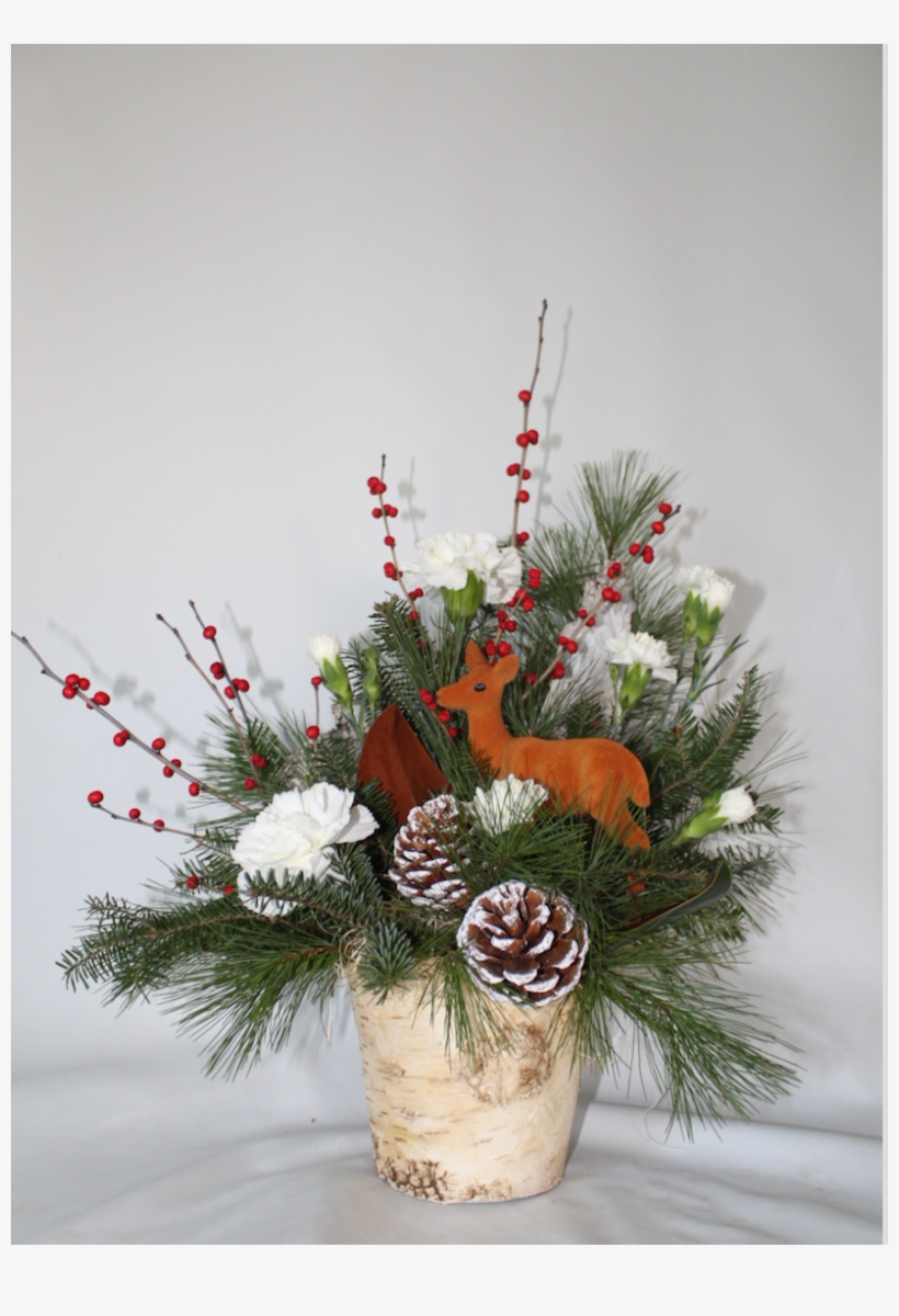 More Views, transparent png download