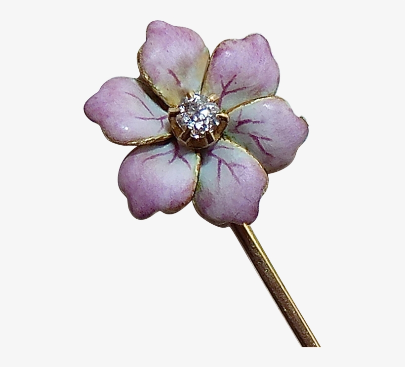 Antiques & Art - Magnolia, transparent png download