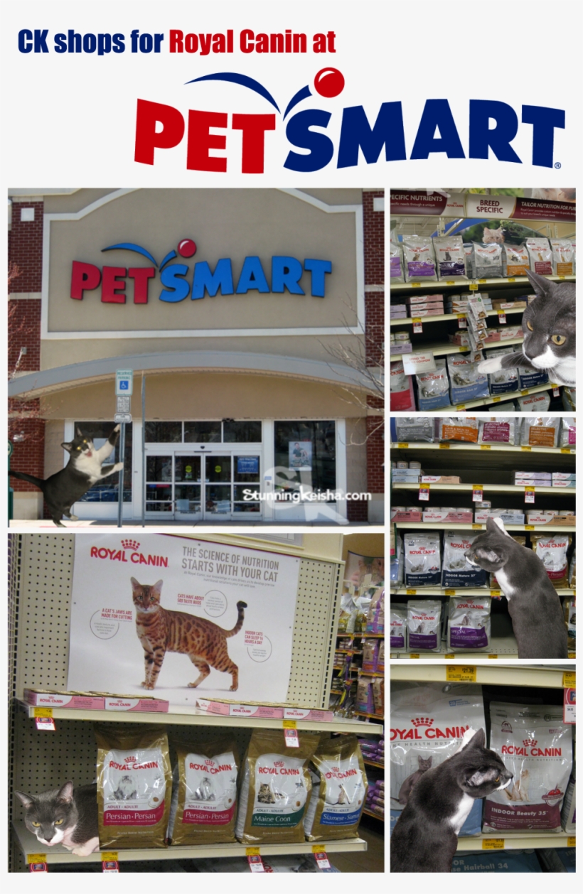 I Had A Great Time Visiting Petsmart Last Week - Petsmart, transparent png download