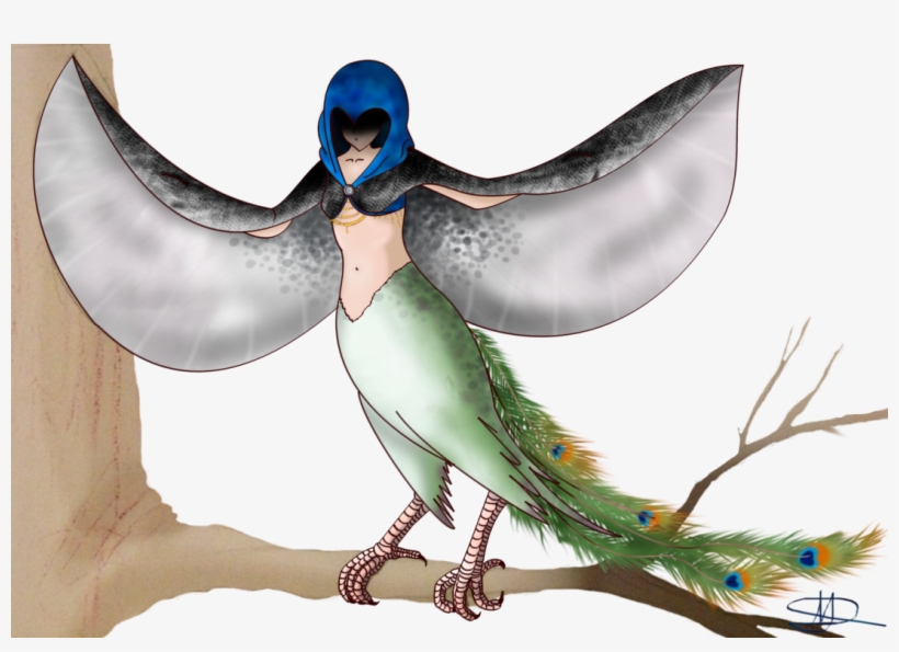 Day 1 Peacock Harpy, 30 Day Monster Girl Challenge - Swallow, transparent png download