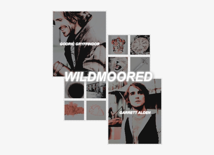 Hp Indie Rp Indie Harry Potter Rp Asoiaf Rp Indie 100 - Eoin Macken, transparent png download