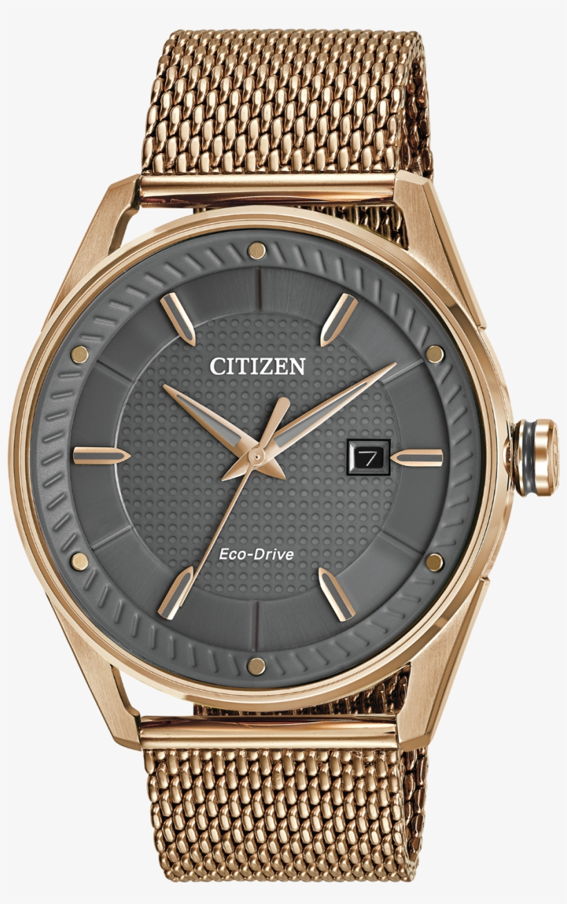 Images - Citizen Leather Band, transparent png download