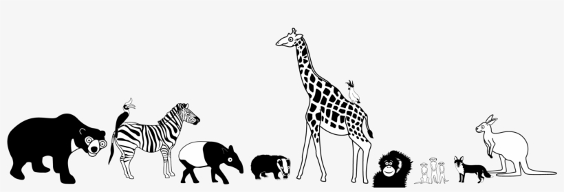 Subscribe - - Giraffe, transparent png download