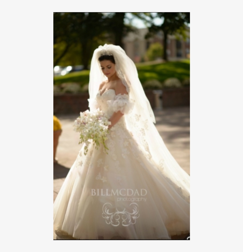 David Tutera Wedding Dresses - Wedding Dress, transparent png download