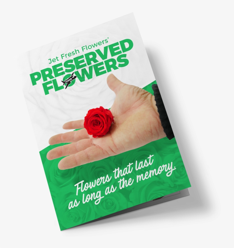 Download Print Version - Garden Roses, transparent png download