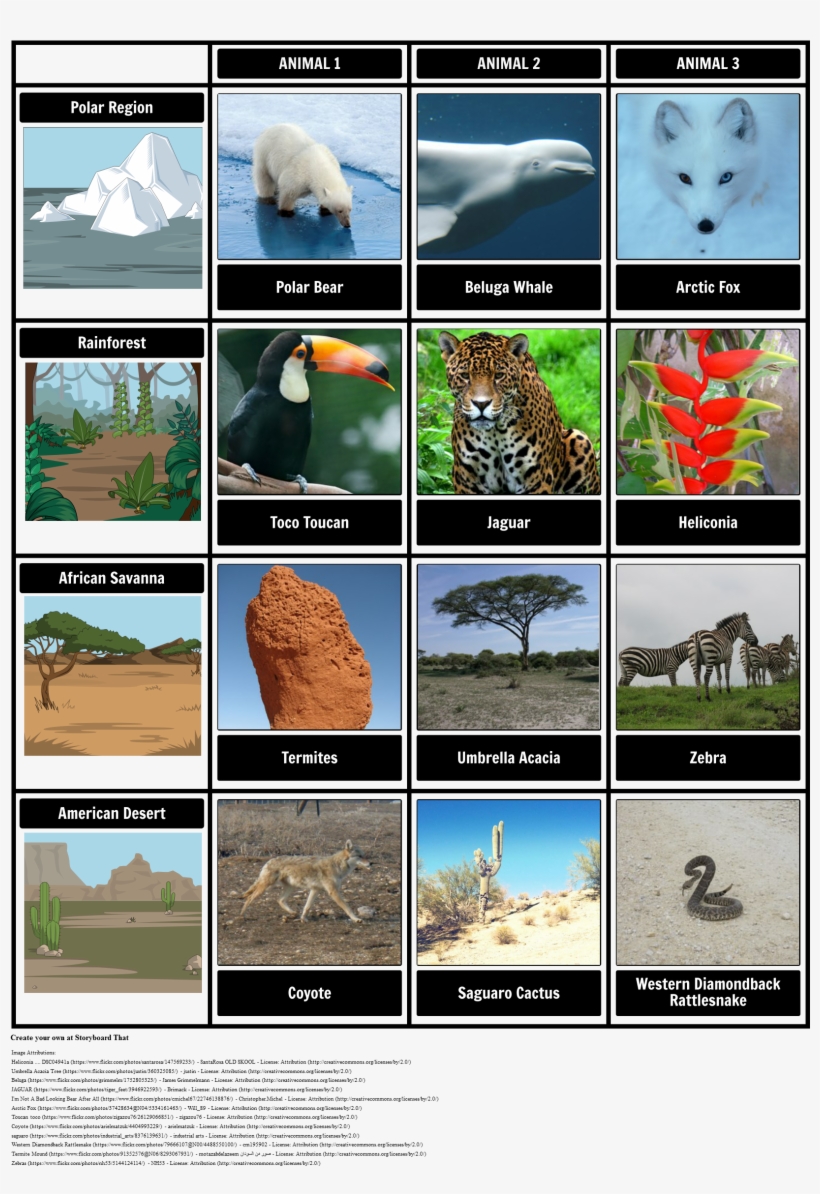 Animal Cell Png, transparent png download