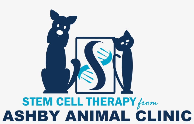 Please Join Ashby Animal Clinic As We Discuss An Exciting - Cartoon, transparent png download