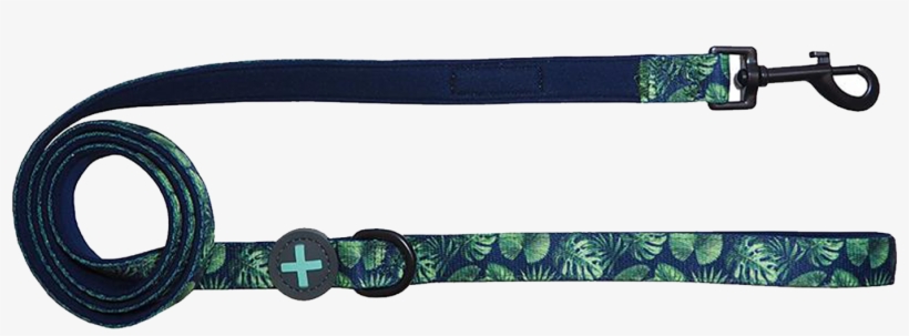 Strap, transparent png download