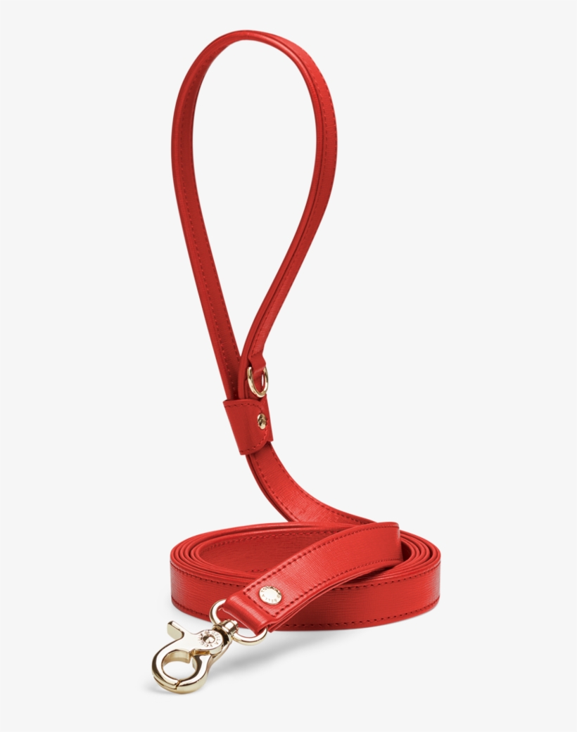 Next - Leash, transparent png download
