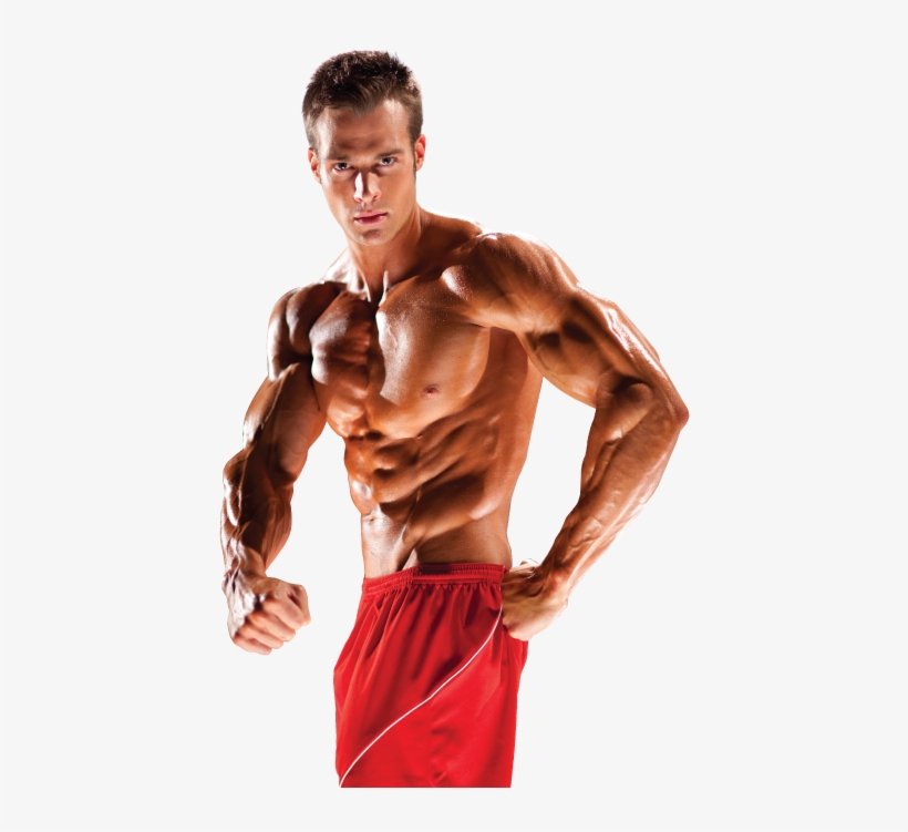 Guide To Fat-burning Training - Barechested, transparent png download