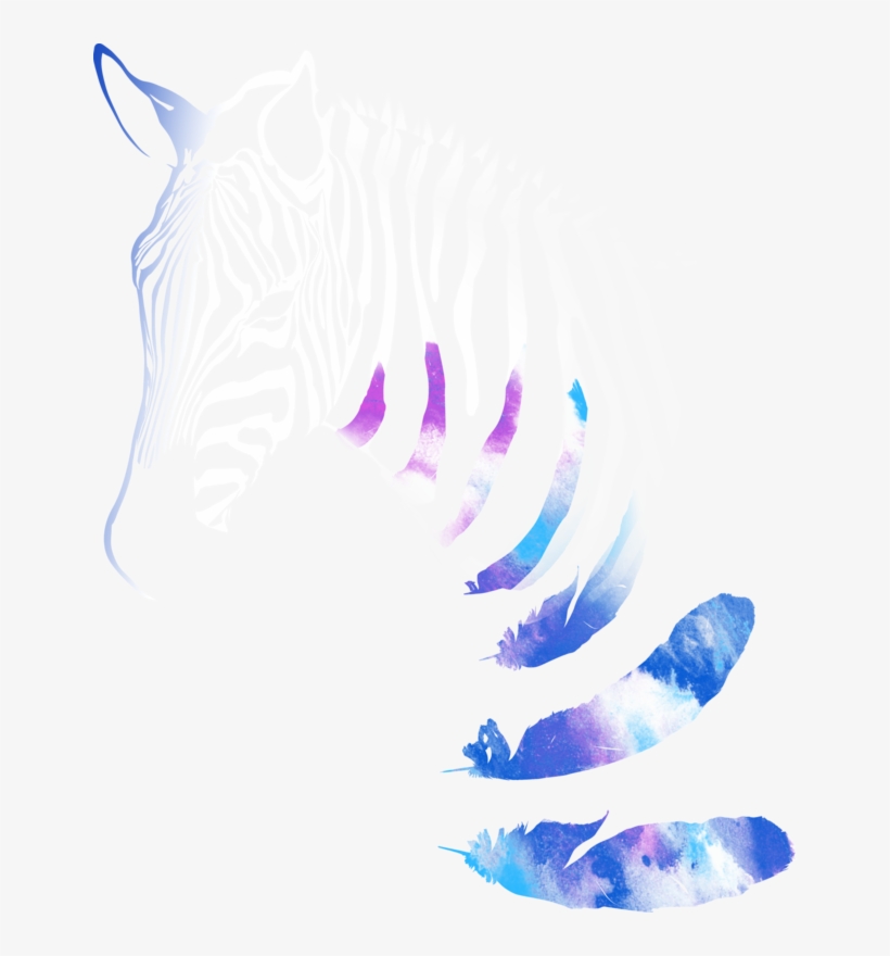 Zebra Print - Illustration, transparent png download