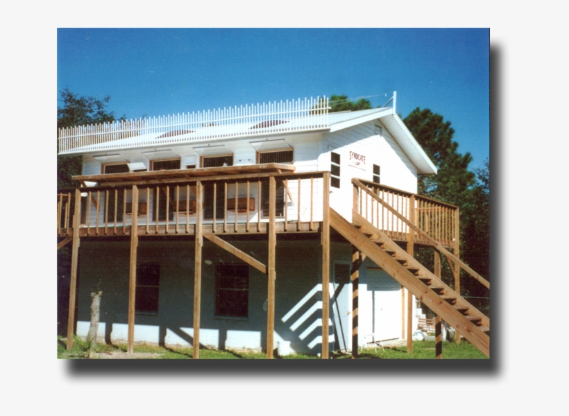Racing Pigeons - Handrail, transparent png download