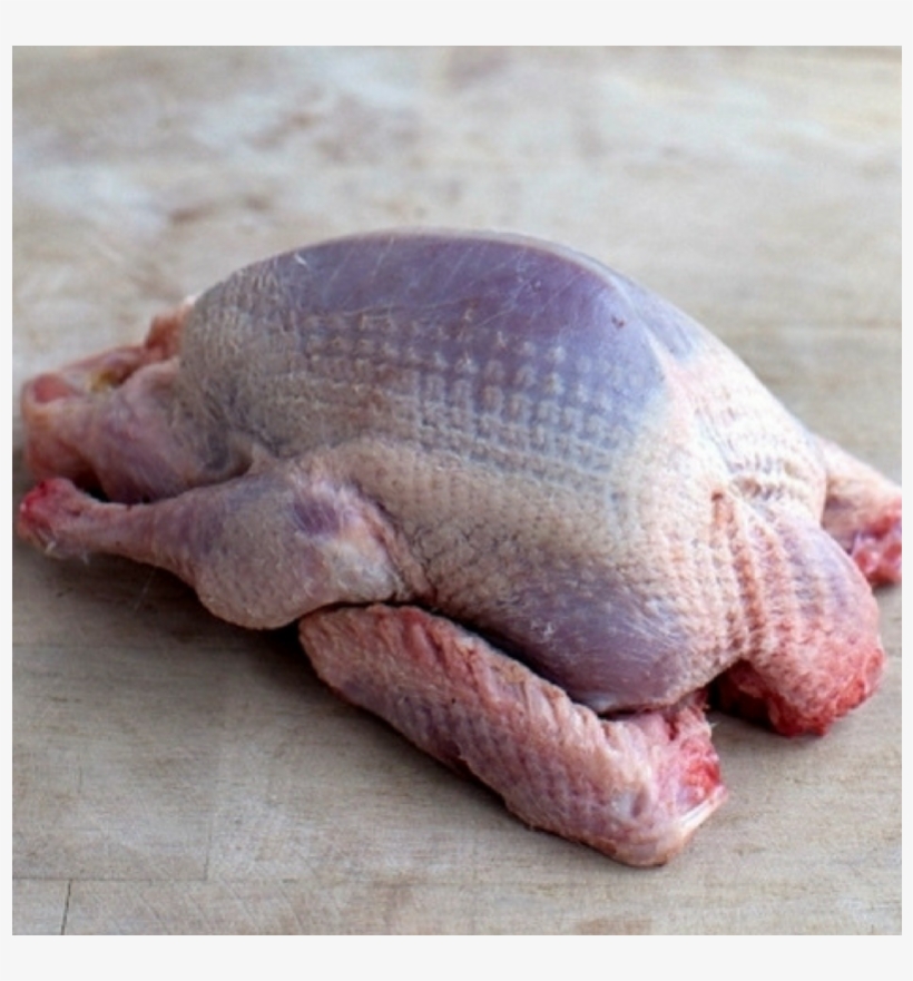 Squab Pigeon Whole 320-380g, France - Guinea Hen Meat Color, transparent png download