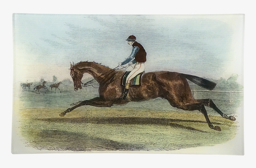 Stallion, transparent png download