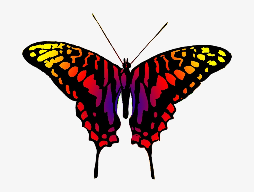 Dangerous Looking Butterfly - Clipart Symmetrical Butterfly, transparent png download
