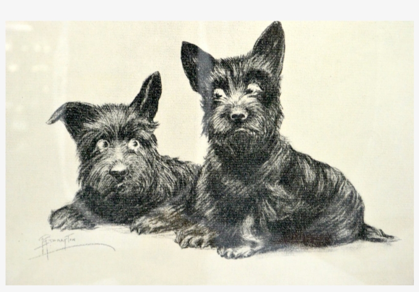 Vintage Signed Scottie Dogs Print Grace G - Scottish Terrier, transparent png download