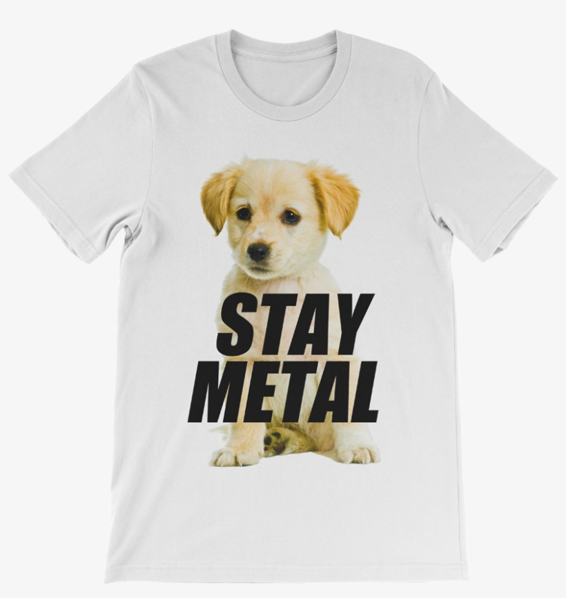 Stay Metal Golden Pup - Puppy, transparent png download