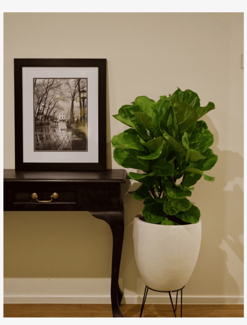 Wall, transparent png download