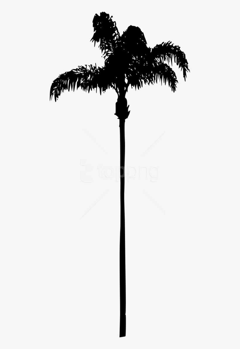 Download Free Png Palm Tree Png - Transparent Background Palm Tree ...