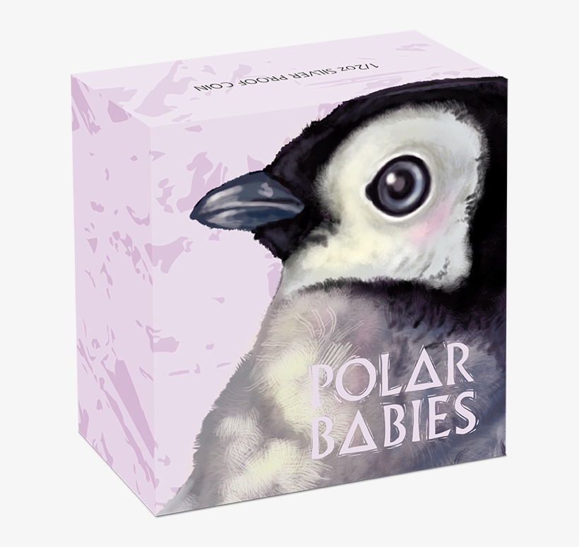 1390 Грн - Leuconotopicus, transparent png download