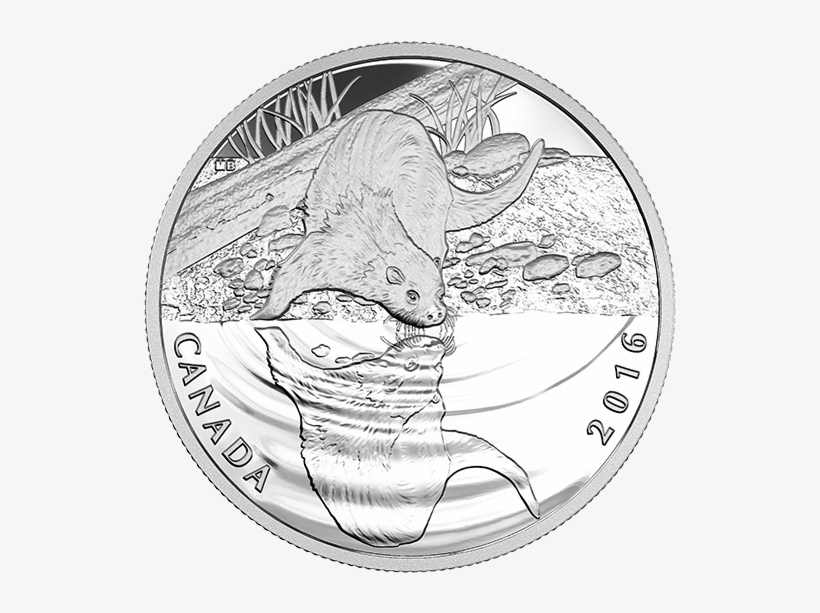 Pure Silver Coin Reflections Of Wildlife - Silver, transparent png download