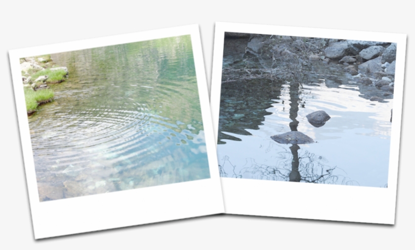 Other Prizes - Visual Arts, transparent png download