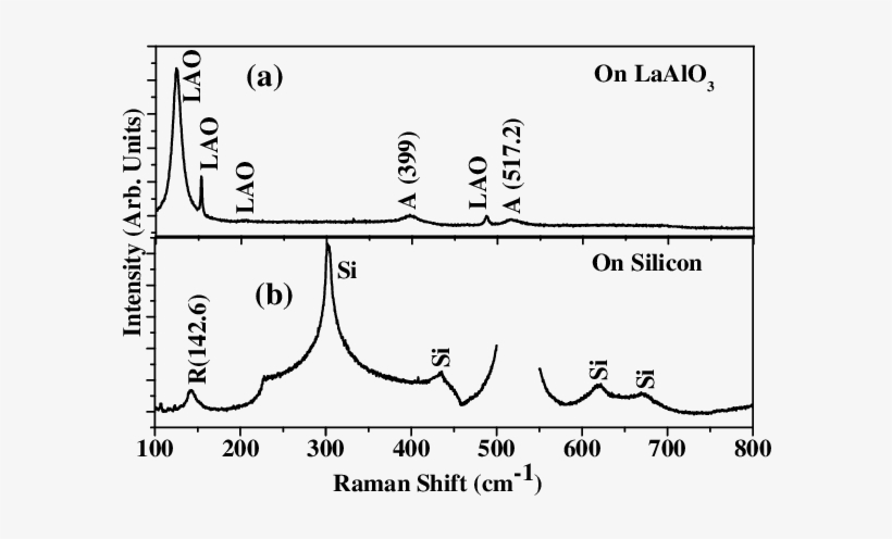 Raman Spectra Of Fe Doped Tio2 Films On Lao Substrate - Diagram, transparent png download