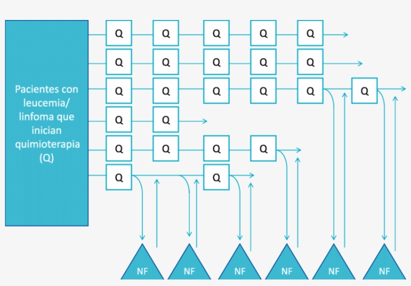 Representación Esquemática Del Seguimiento De La Cohorte - Diagram, transparent png download