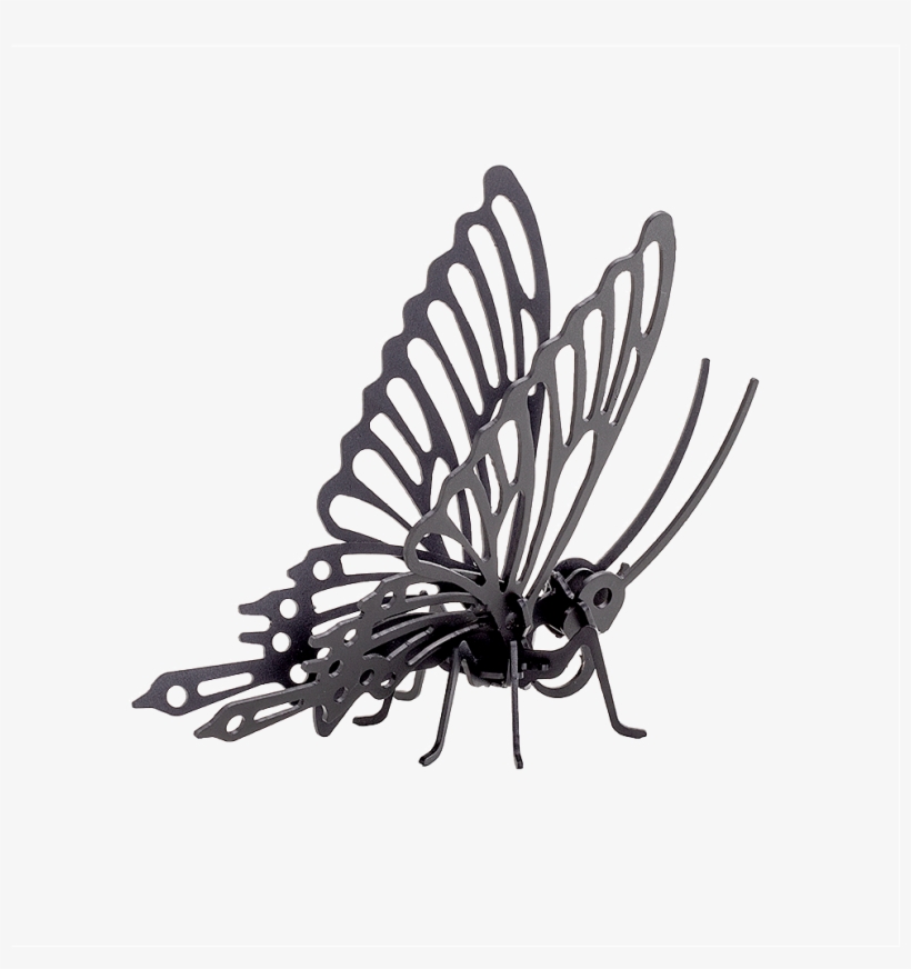 Casa - Spider, transparent png download