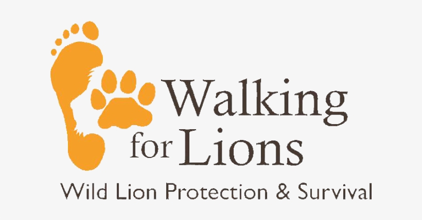 Suny Delhi, transparent png download