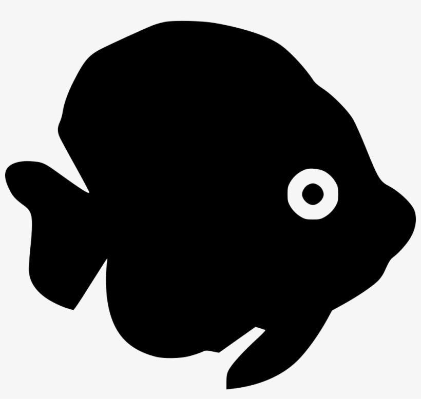 Png File - Coral Reef Fish, transparent png download