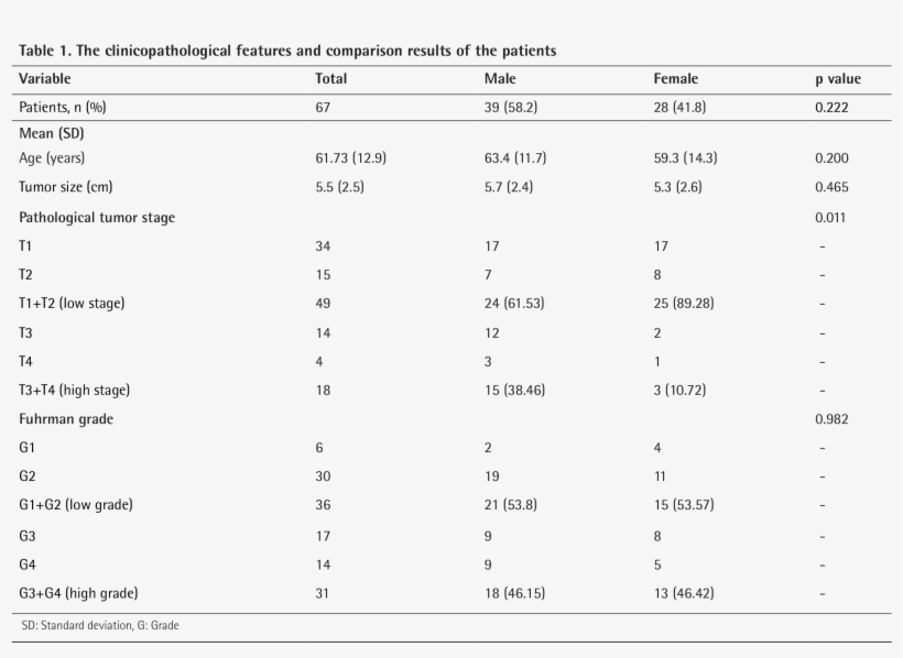 Of The 67 Patients - Chronique D Activité Ergonomie, transparent png download