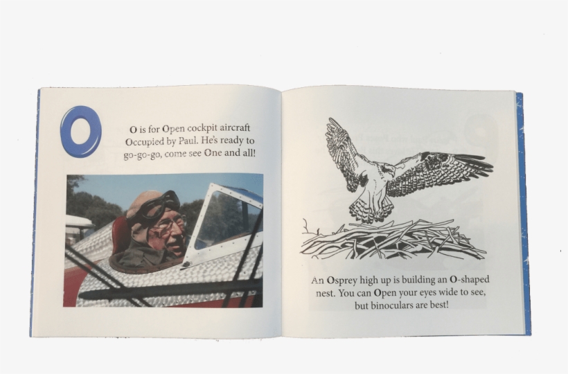 The Abcs Of Flying Over Delmarva - Buzzard, transparent png download